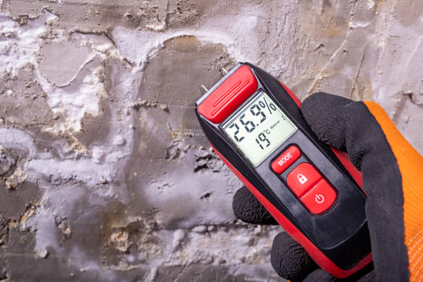 Best Insurance-Related Mold Remediation in New Franklin, OH