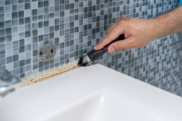 Best Kitchen Mold Remediation in New Franklin, OH