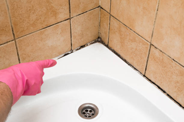 New Franklin, OH Mold Remediation Company